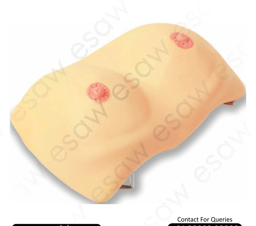 Breast Examination Training Model – Realistic Palpation Simulator