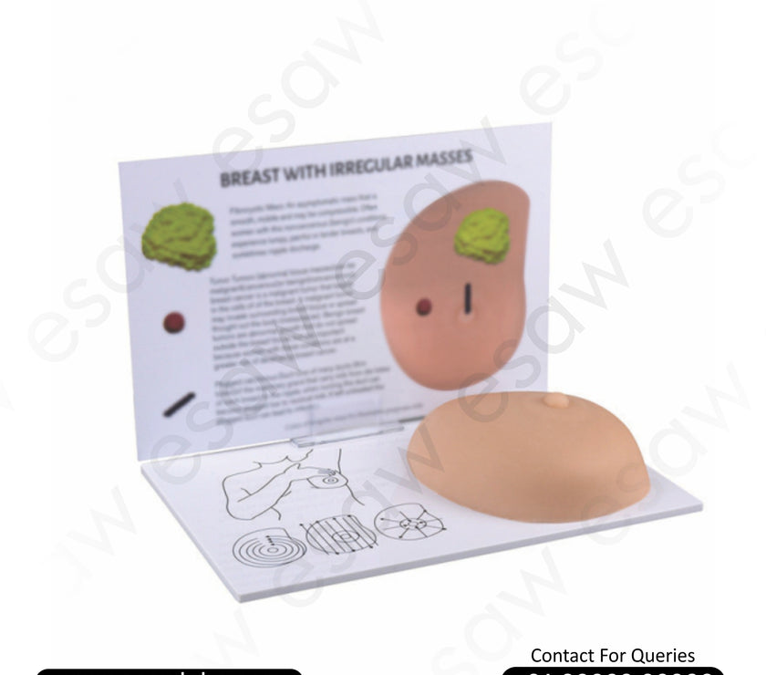 Breast Self-Examination Training Model with Irregular Masses – Full Size