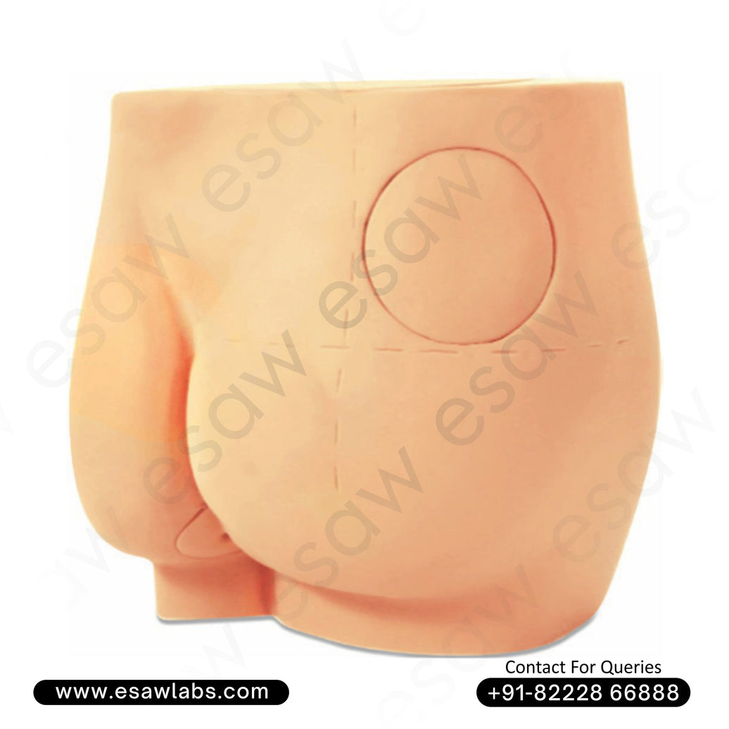 Buttock Injection Model – Realistic Gluteal Intramuscular Injection Training Simulator