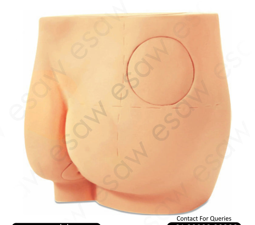 Buttock Injection Model – Realistic Gluteal Intramuscular Injection Training Simulator
