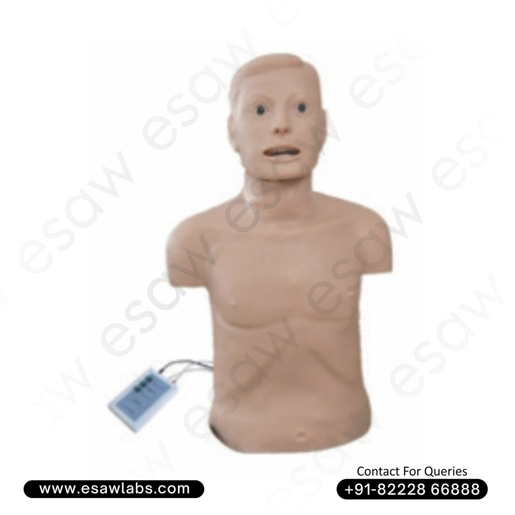 CPR and Intubation Training Manikin (Adult) with Monitor – Advanced Airway Management and Resuscitation Simulator