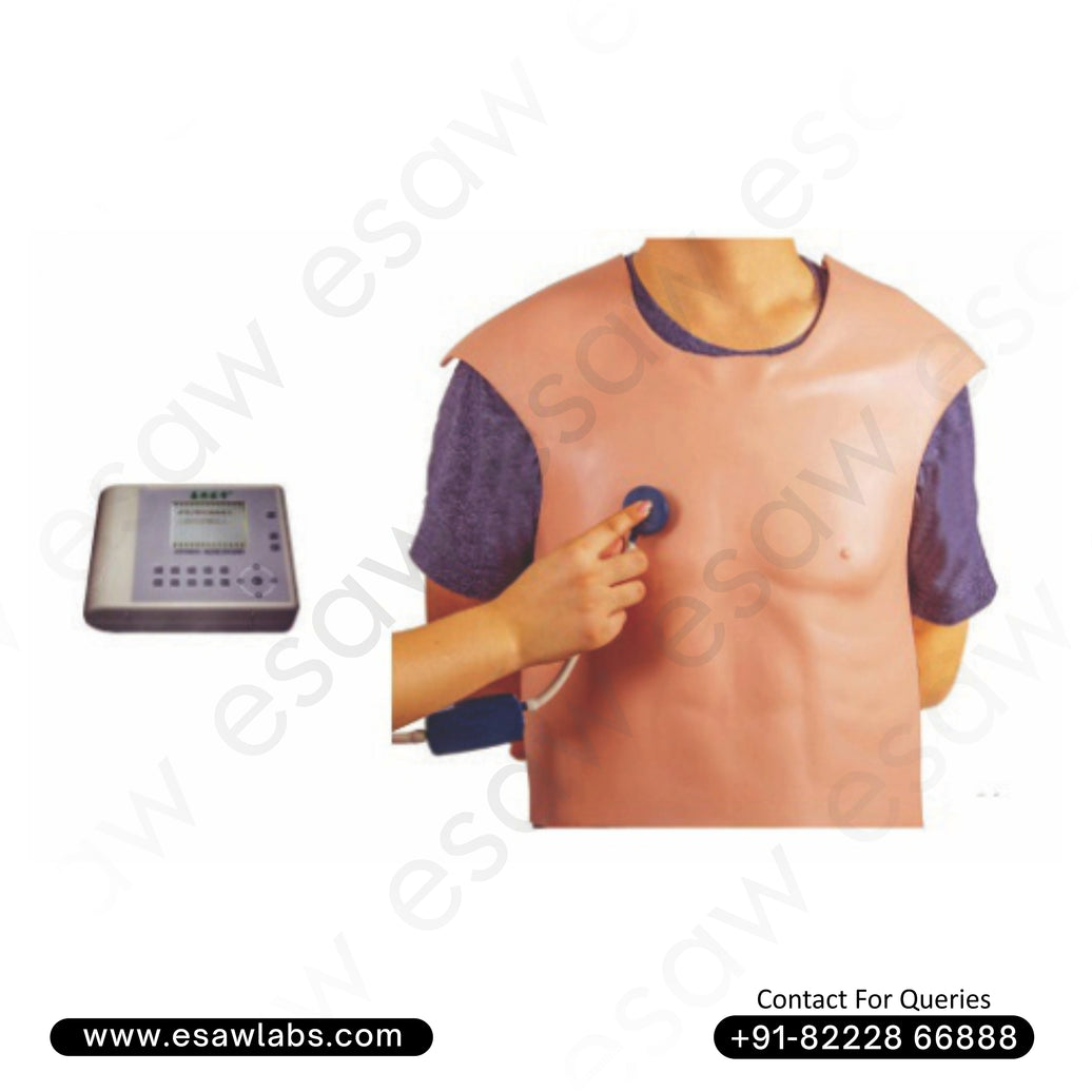Cardiopulmonary Auscultation Training Vest – Realistic Heart &amp; Lung Sound Simulator | ESAW India