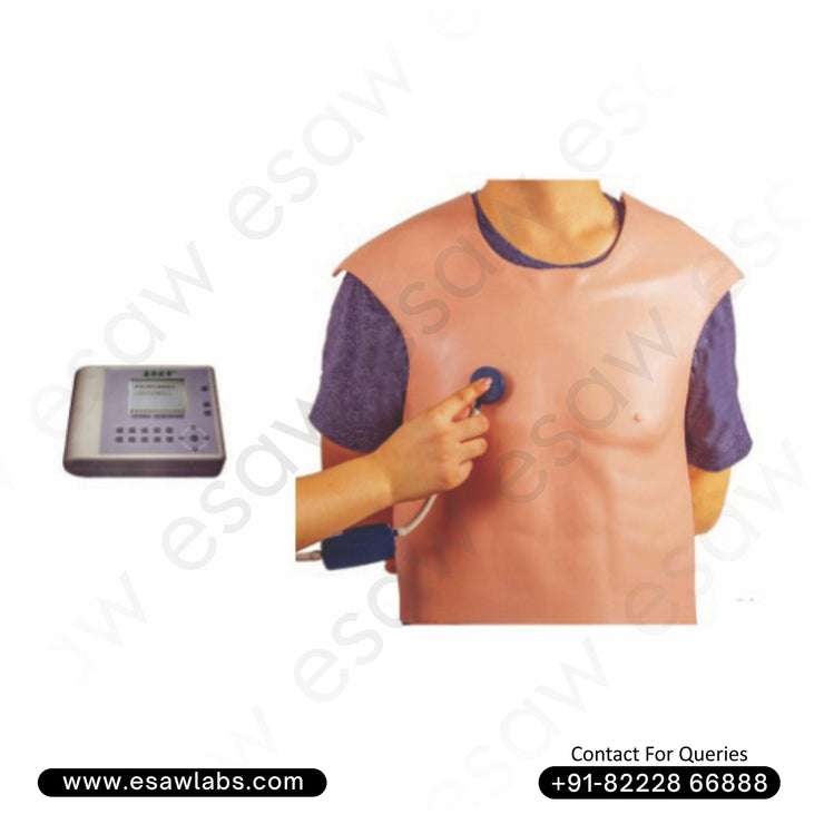 Cardiopulmonary Auscultation Training Vest – Realistic Heart &amp; Lung Sound Simulator | ESAW India