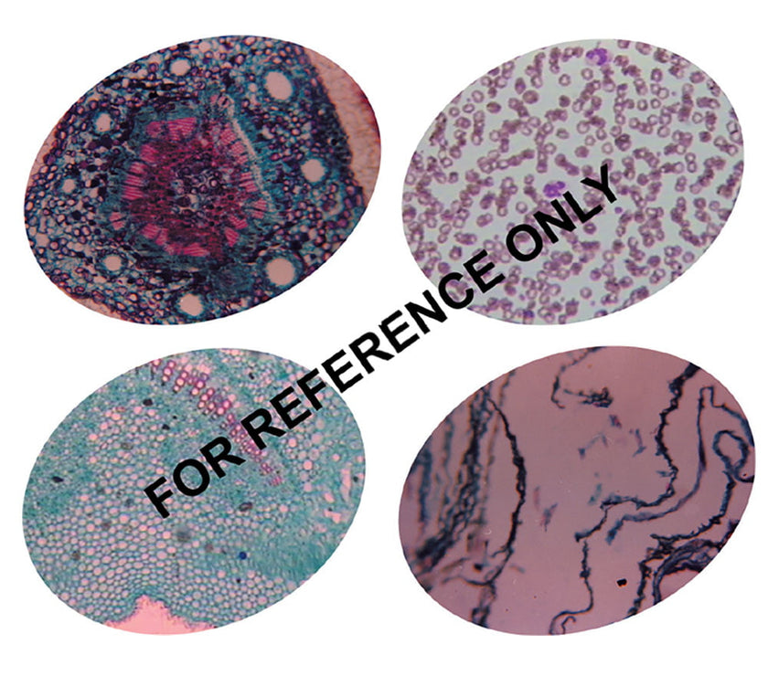 🔹Image ALT Tags (SEO Optimized):

“Cell and Tissue Structure Model for Biology Lab”

“Educational Cell Contents Kit for Classroom Use”

“Student Biology Learning Set – ESAW Export Quality”

“Cell Model Kit for Science Lab in Schools and Colleges”