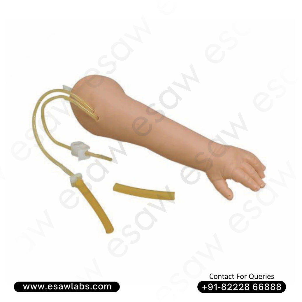 Child Venipuncture Arm – Pediatric IV Cannulation & Phlebotomy Training Model (Age 4 Simulation)