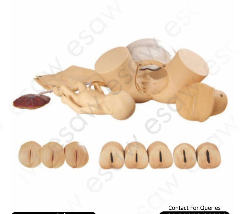 Childbirth Skills Training Simulator – Advanced Obstetric Delivery Model by ESAW