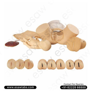 Childbirth Skills Training Simulator – Advanced Obstetric Delivery Model by ESAW