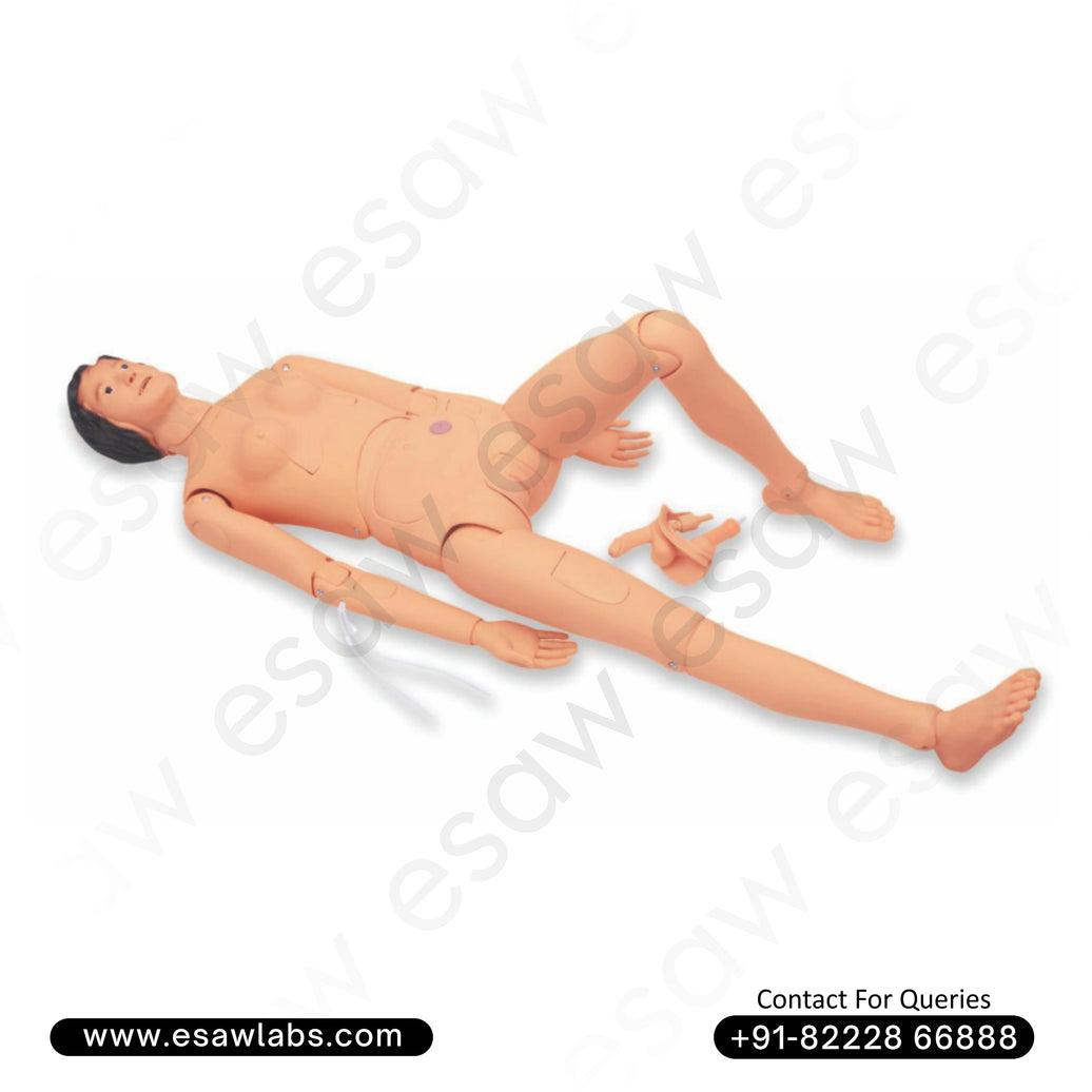Combination Female Nurse Training Manikin – ESAW India