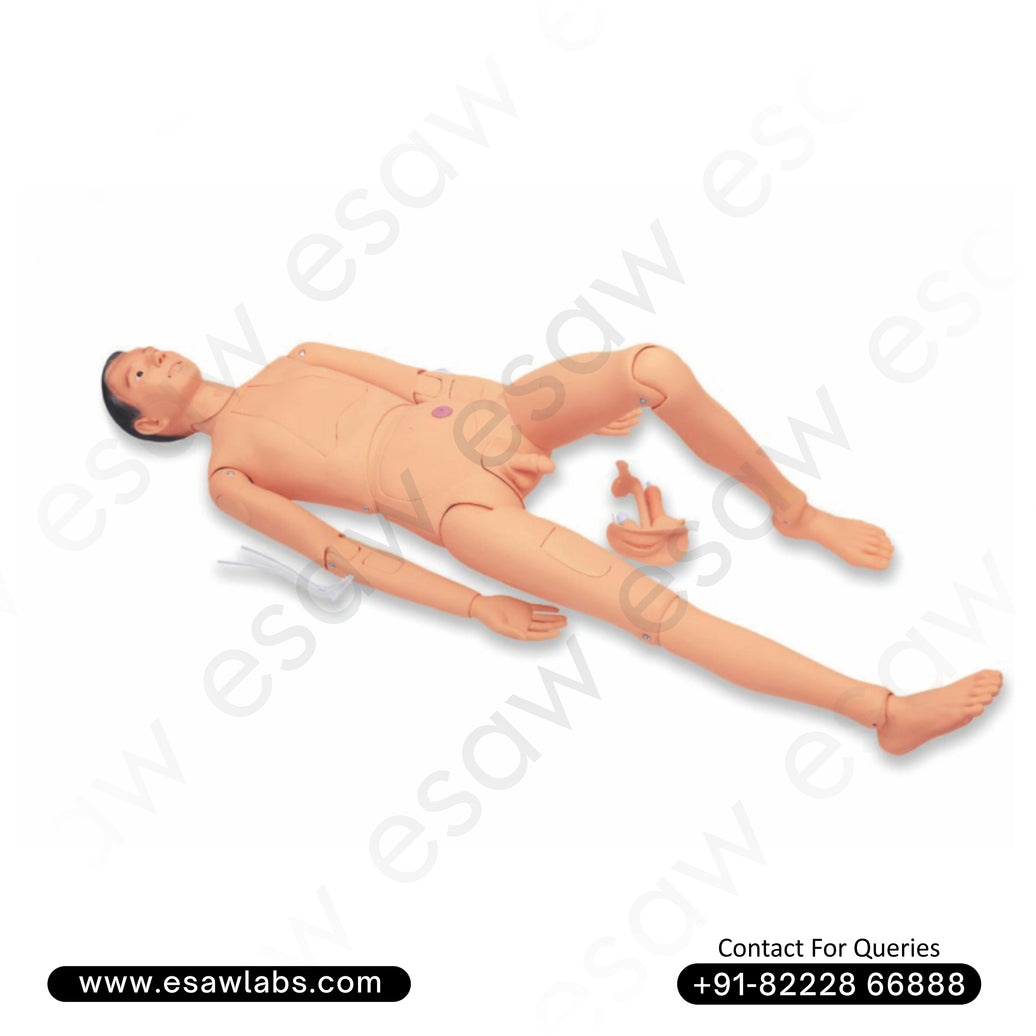 Combination Nurse Training Manikin (Male) – ESAW India