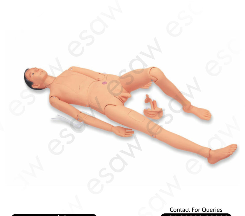 Combination Nurse Training Manikin (Male) – ESAW India