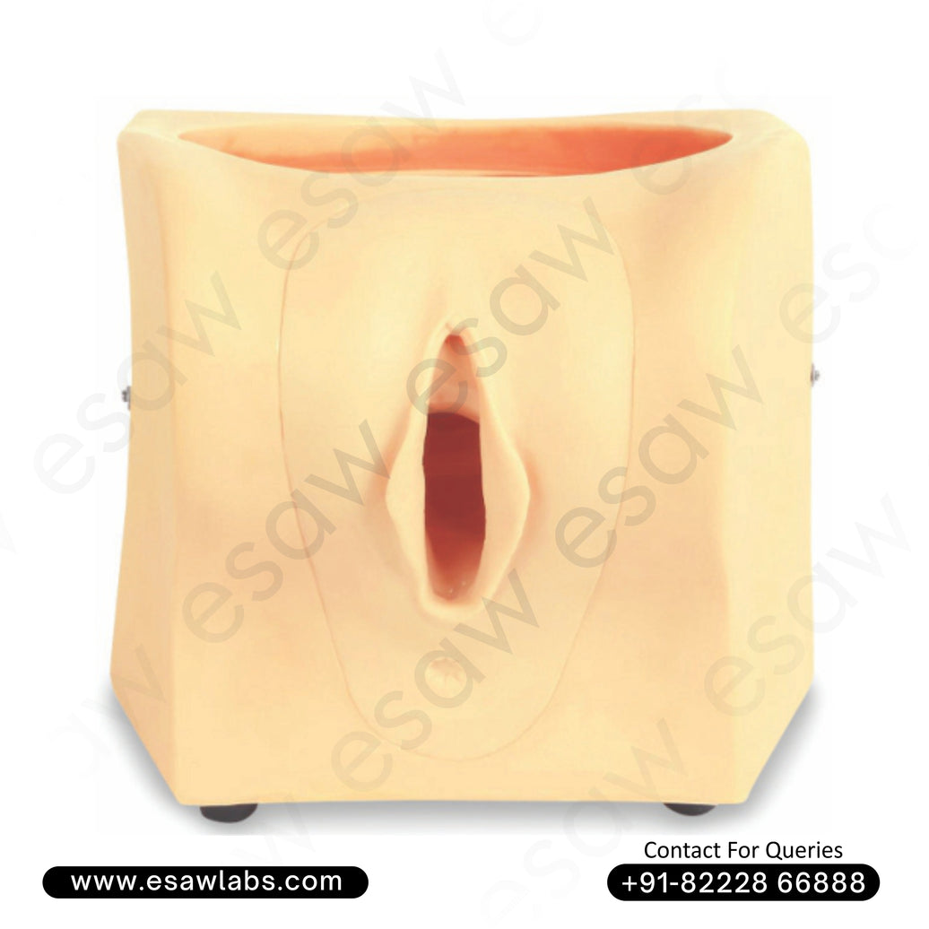 Contraception Guidance Model – Comprehensive Reproductive Health &amp; Family Planning Training Tool