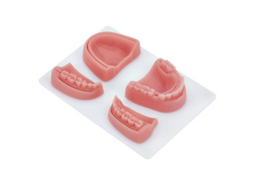 Dental Suture and Skill Training Pad – High-Quality Silicone Model for Precise Suturing Practice