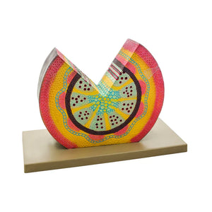 🖼️ Image ALT Tags for SEO &amp; Accessibility:

"Dicot Stem Model for Biology Classroom Use"

"3D Dicot Stem Cross Section Teaching Model"

"Plant Stem Anatomy Model for Science Students"