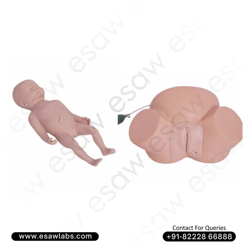 Dystocia Training Simulator / Difficult Labor Simulator – Best Medical Training Model for Abnormal Delivery