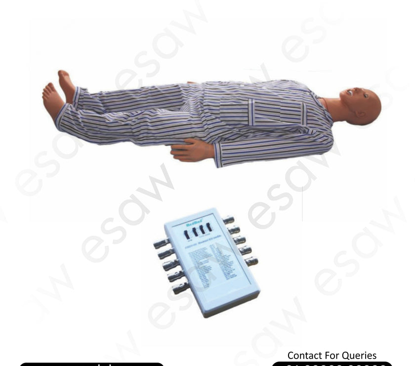 ECG Manikin for Clinical & Cardiology Training – Real-Time ECG Simulation Model | ESAW India