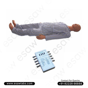 ECG Manikin for Clinical & Cardiology Training – Real-Time ECG Simulation Model | ESAW India