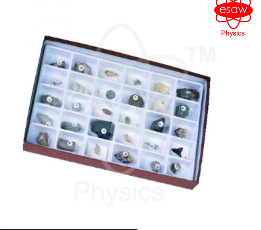 ESAW Advanced Fossil Collection (MES-9008)