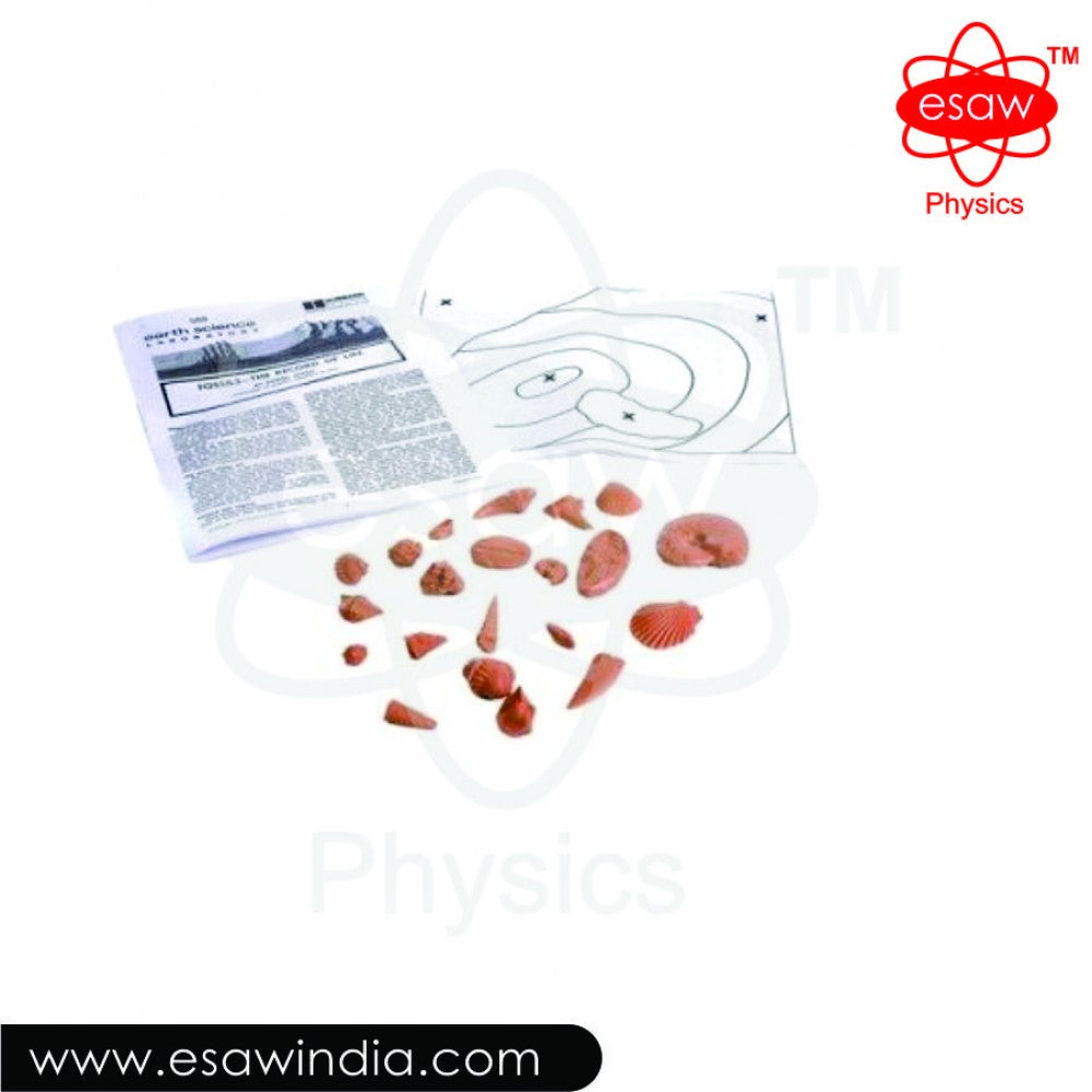 🖼 Image ALT Tags (SEO-Focused):

"Complete Fossil Laboratory Kit for Earth Science Education"

"ESAW Fossil Lab Set for Students and Schools"

"Affordable Fossil Laboratory India for Chemistry and Biology Labs"

"Export Quality Fossil Kit for Schools, Colleges, and Research Labs"