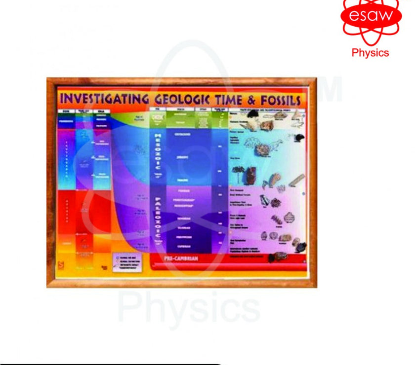 Geologic Timeline Lab Investigating Geological Time And Fossils Chart Online |ESAW