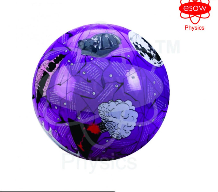 🖼 Image ALT Tags:

"ESAW Rocks Clever Catch Interactive Earth Science Ball"

"Educational Geology Quiz Ball for Students"

"Affordable Rock Identification Game for Classrooms"

"Inflatable Earth Science Learning Tool for Labs"