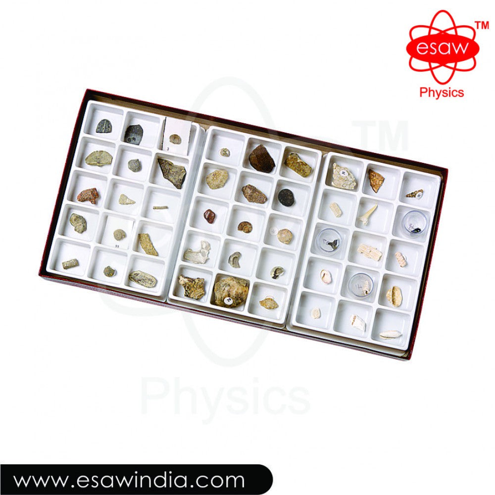 Buy Stratigraphic Collections Set – ESAW MES-9169 | Educational Rock Specimens Kit