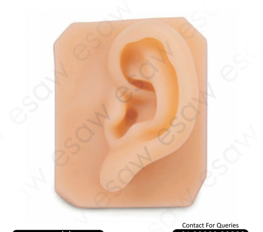 Ear Suture & Piercing Training Pad – Anatomical Silicone Practice Model | ESAW India