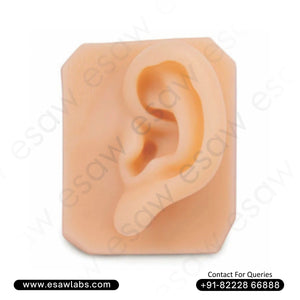 Ear Suture & Piercing Training Pad – Anatomical Silicone Practice Model | ESAW India