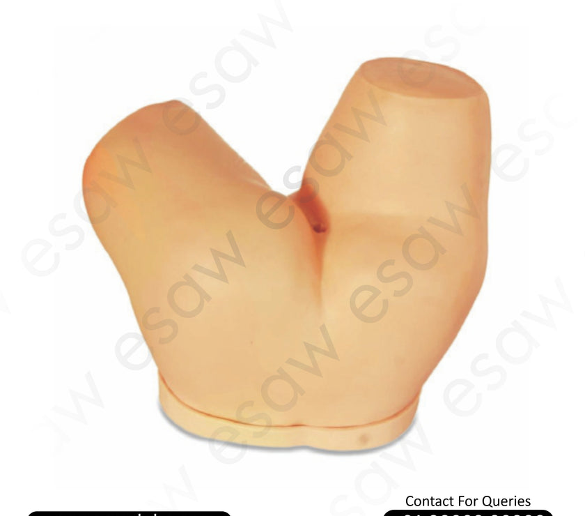Enema Administration Simulator – Realistic Bowel Care Training Manikin | ESAW India