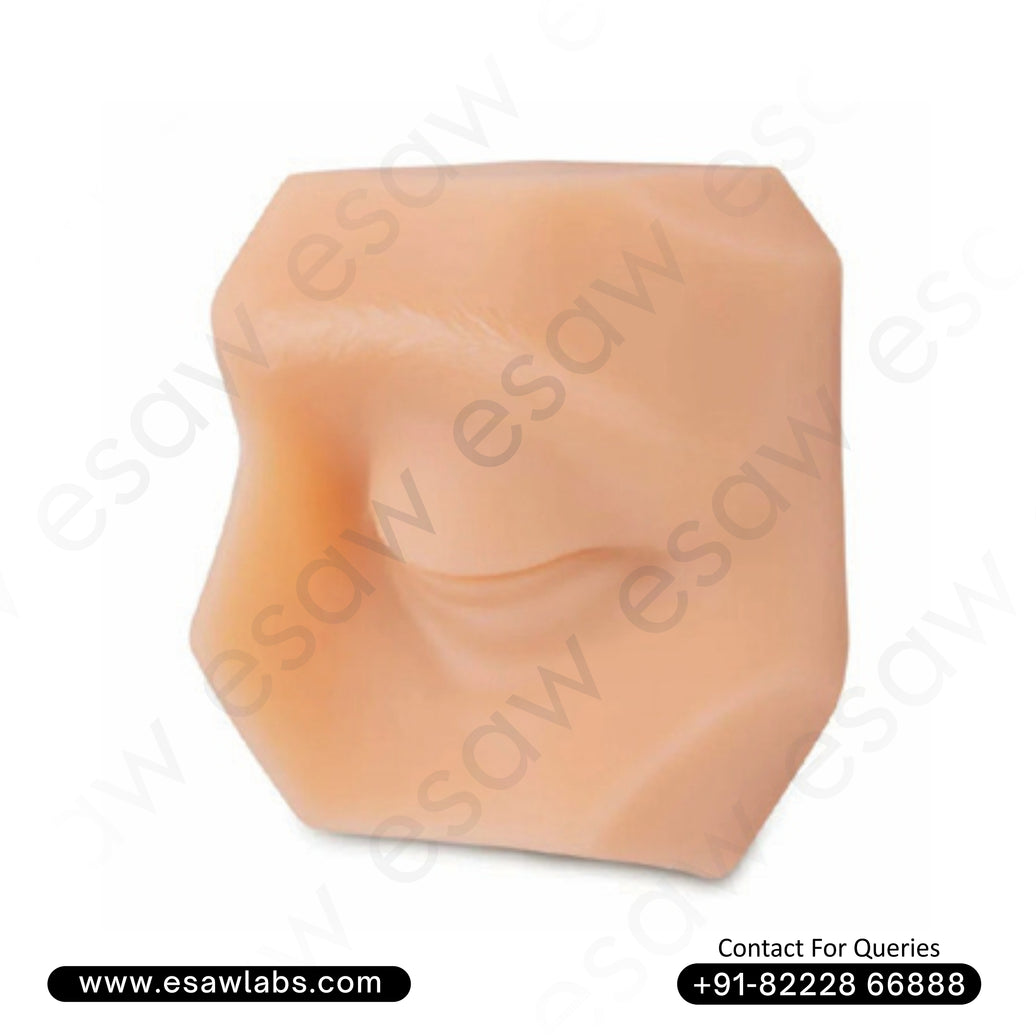 Eye Suture & Piercing Training Pad – Anatomically Correct Silicone Model for Ophthalmic Practice | ESAW India
