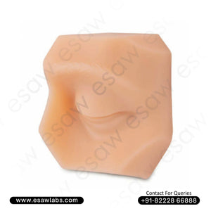 Eye Suture & Piercing Training Pad – Anatomically Correct Silicone Model for Ophthalmic Practice | ESAW India