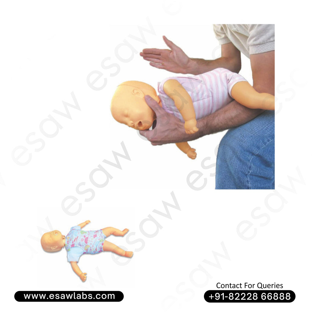 Infant Obstruction and CPR Training Manikin – First Aid &amp; Heimlich Maneuver Simulator | ESAW India