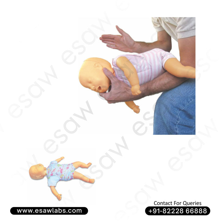 Infant Obstruction and CPR Training Manikin – First Aid &amp; Heimlich Maneuver Simulator | ESAW India