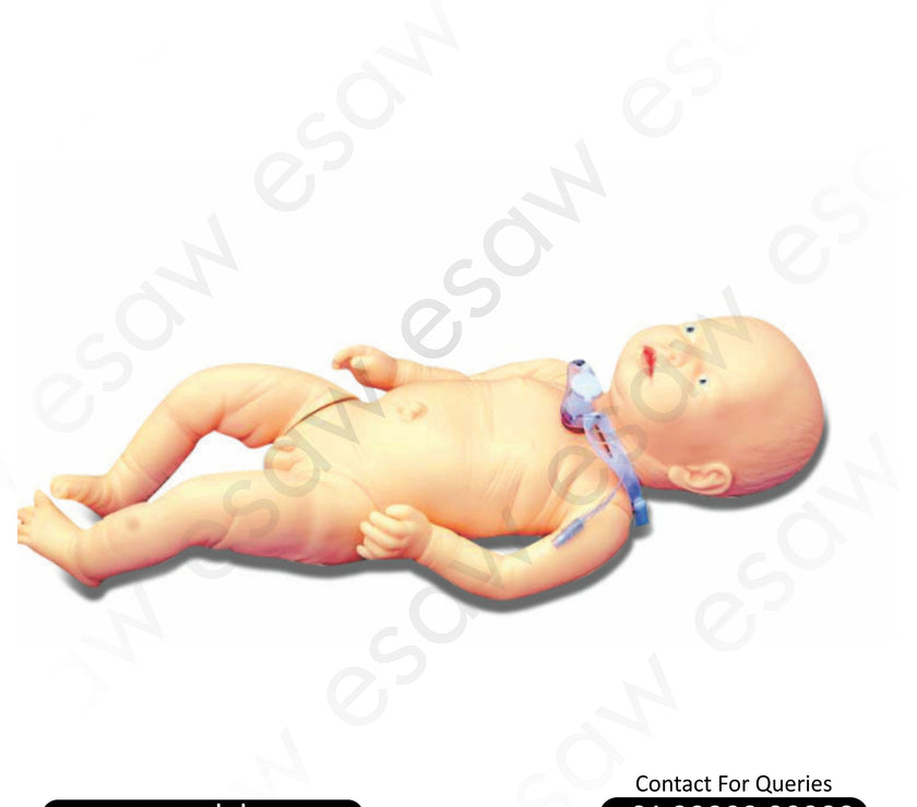 Infant Tracheostomy Care Model – Neonatal Airway Management Simulator