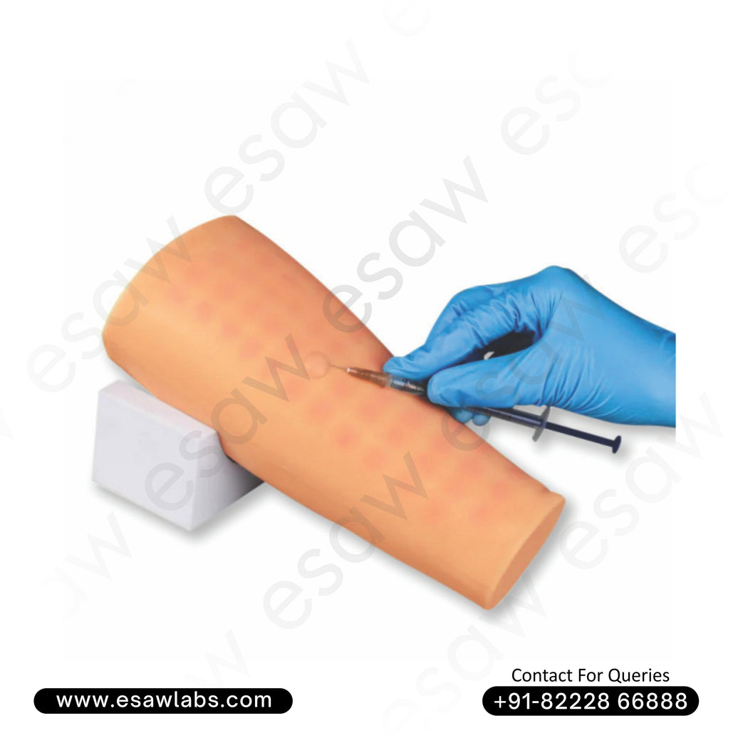 Intradermal Injection Simulator – Realistic Forearm Model for Professional Training