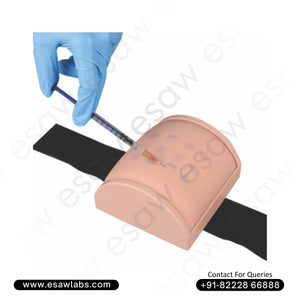 Intramuscular, Intradermal & Subcutaneous Injection Practice Kit – 3-in-1 Medical Injection Training Model