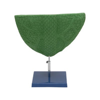 Buy Leaf Anatomy Model – Best Teaching Tool for Plant Science Labs