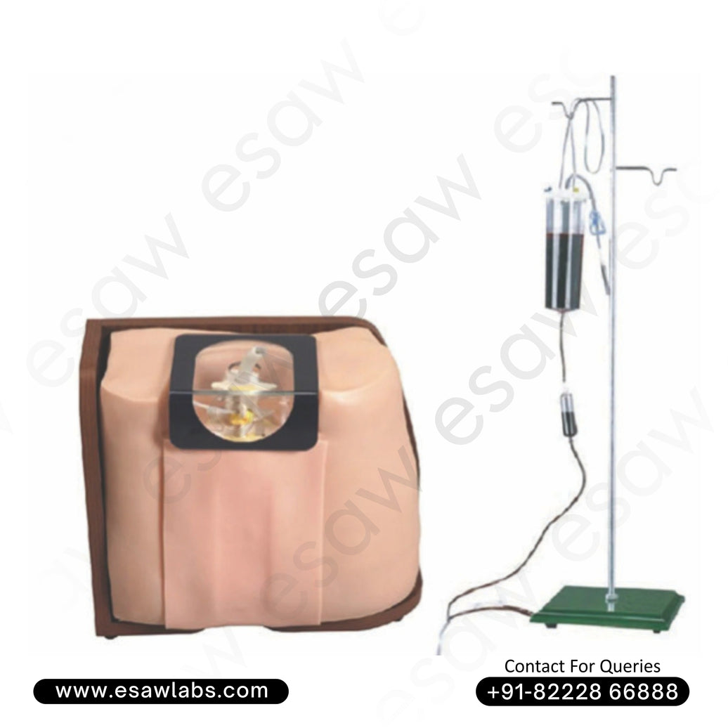 Lumbar Puncture Training Model – Advanced Spinal Anesthesia & Epidural Simulation