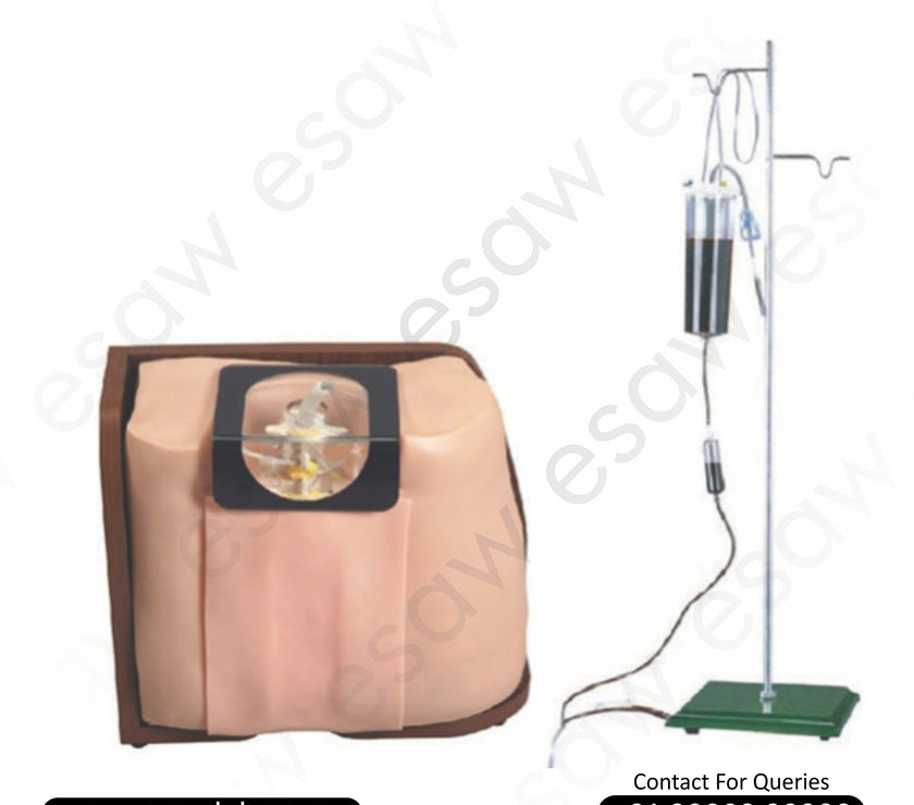 Lumbar Puncture Training Model – Advanced Spinal Anesthesia & Epidural Simulation