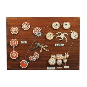 🖼️ Image ALT Tags (SEO-Focused):

"Malarial Parasite Life Cycle Model for Biology Labs"

"Educational Model of Plasmodium Life History ESAW India"

"Buy Enlarged Malaria Parasite Teaching Aid for Medical Colleges"