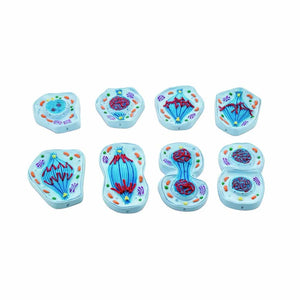 🖼️ Image ALT Tags (SEO-focused):

"Mitosis Model Set of 8 for Classroom Biology Labs"

"Color-Coded Mitosis Stage Models for Students and Colleges"

"Educational Cell Division Model for Science Lab Demonstrations"