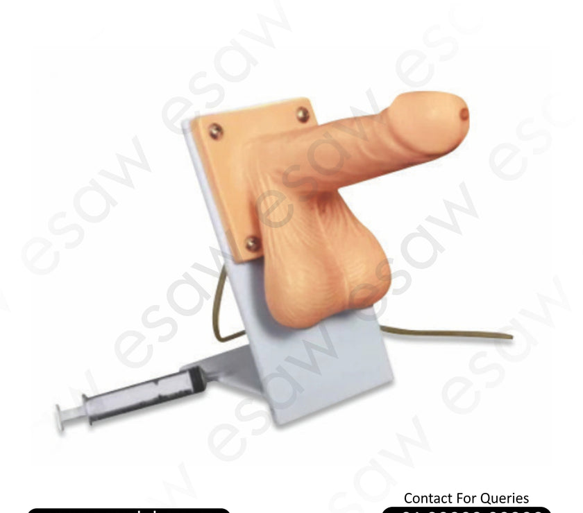 Male Condom Simulator – Realistic Training Model for Safe Sex &amp; Condom Application Education