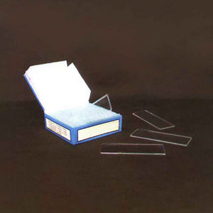 Image ALT Tags:

"Microscope Slides for Biology Lab Use"

"Plain and Frosted Glass Microscope Slides for Students"

"ESAW Educational Microscope Slides India"

"Lab-Grade Glass Slides for Medical and Chemistry Labs"