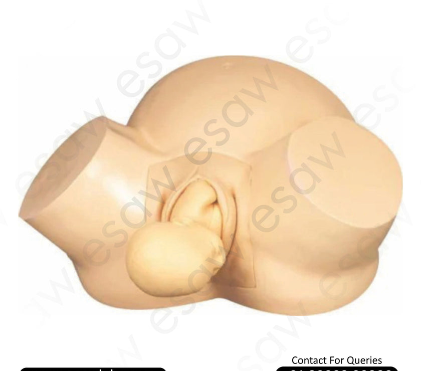 Midwifery Training Simulator – Vacuum Delivery Model for Realistic Obstetric Training