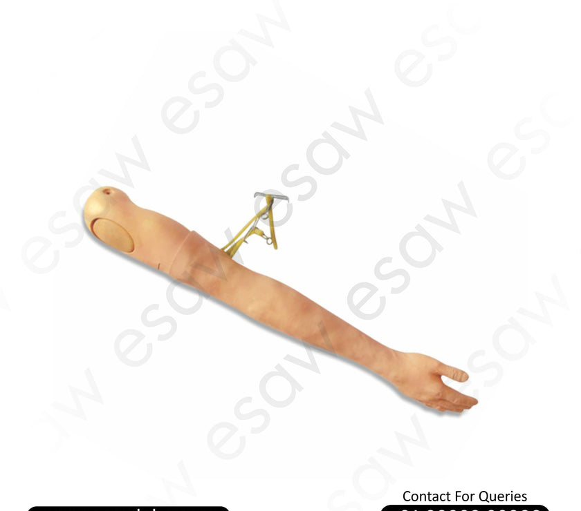 Multi-Functional IV Training Arm – Advanced Peripheral Intravenous Therapy Simulator