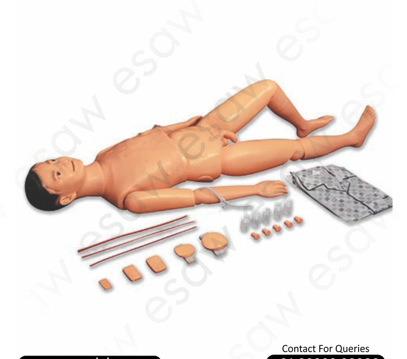 Multifunctional Male Nursing Training & Patient Care Manikin – ESAW India
