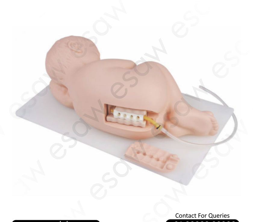 Neonatal Lumbar Puncture Model – Advanced Newborn Vein Access Simulation for Medical Training