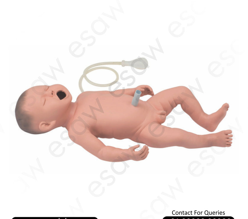 Neonatal Resuscitation Simulator – Advanced Newborn CPR and Umbilical Cord Care Training Model | ESAW India