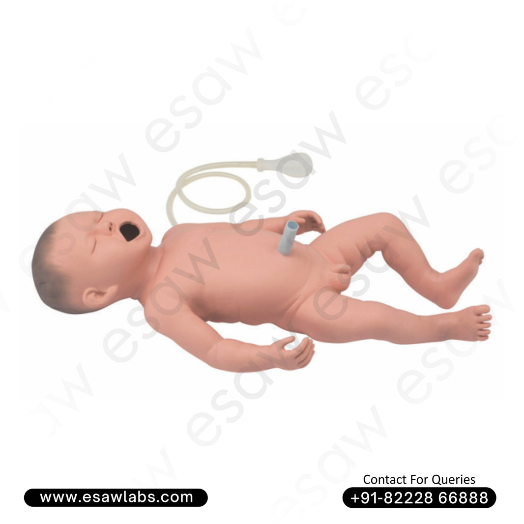 Neonatal Resuscitation Simulator – Advanced Newborn CPR and Umbilical Cord Care Training Model | ESAW India