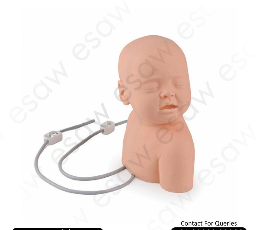 Neonate Scalp Venipuncture Model – Realistic Infant IV Access Training Simulator