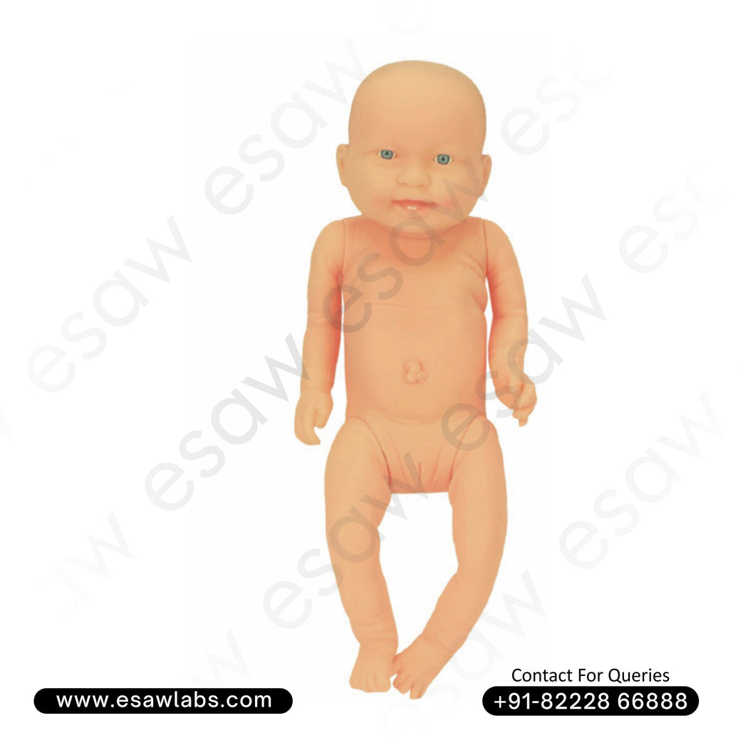 New Born Baby Model (Female) – Life-Size Neonatal Manikin for Nursing &amp; Clinical Training